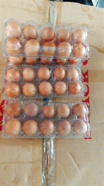 Trứng gà - Thực Phẩm Đông Lạnh Khánh Hà - Công Ty TNHH Thực Phẩm Khánh Hà